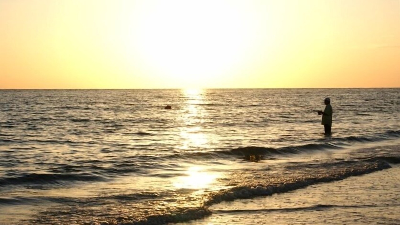 Photo of Others in Madeira Beach