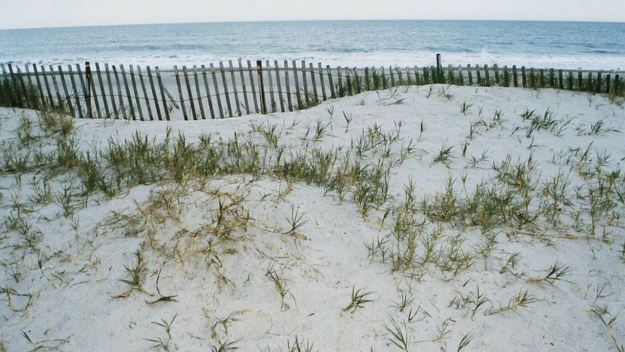 Photo of Others in Fernandina Beach