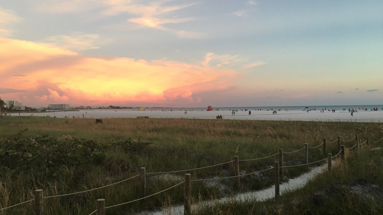 Photo of Others in Siesta Key