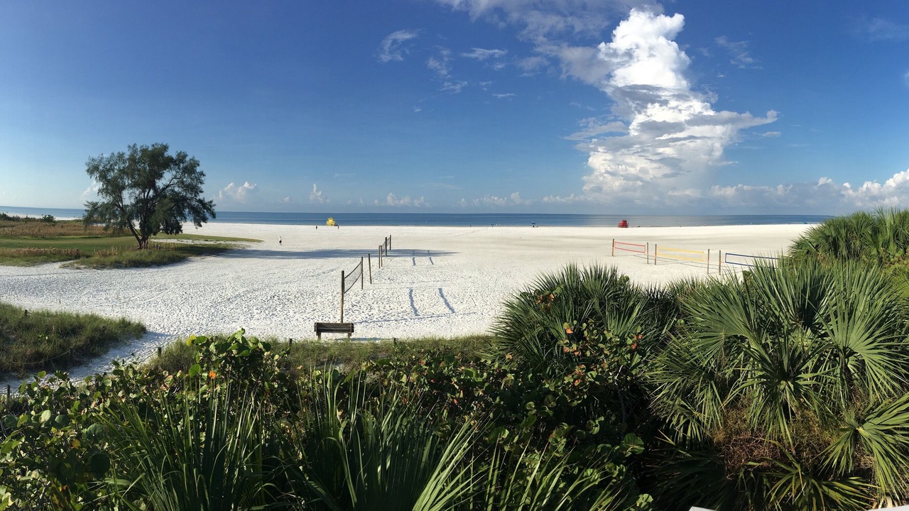 Photo of Others in Siesta Key