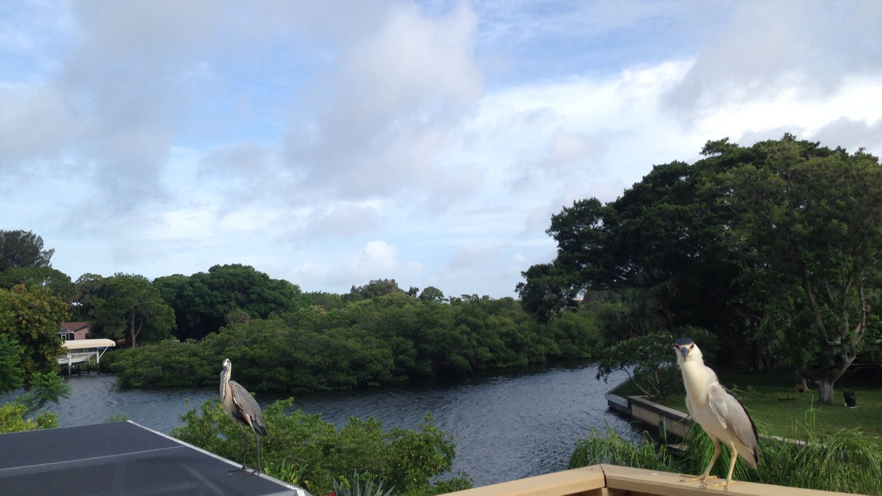 Photo of Outdoor in Bay Harbor Estates