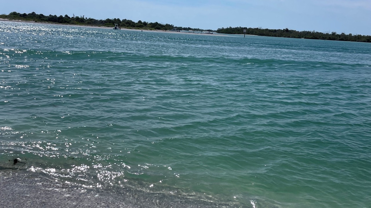 Photo of Outdoor in Bay Harbor Estates