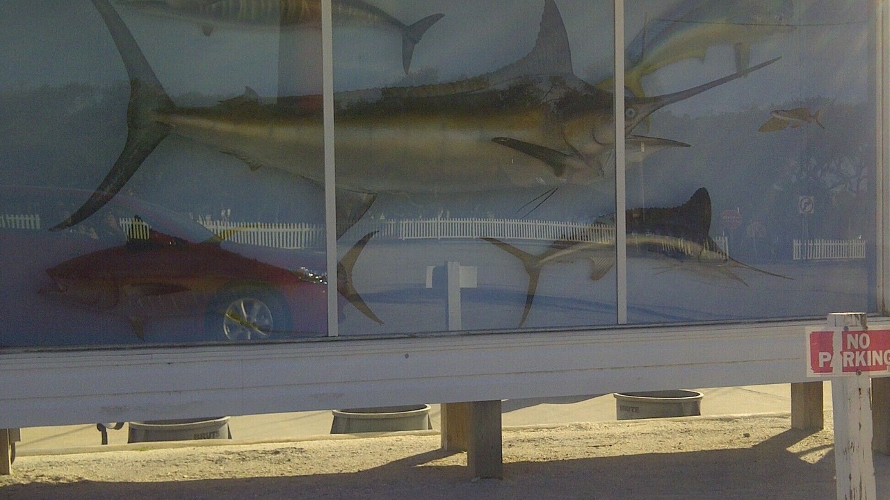 Photo of Others in Daytona Beach Shores