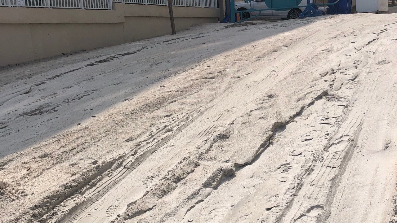Photo of Others in Daytona Beach Shores
