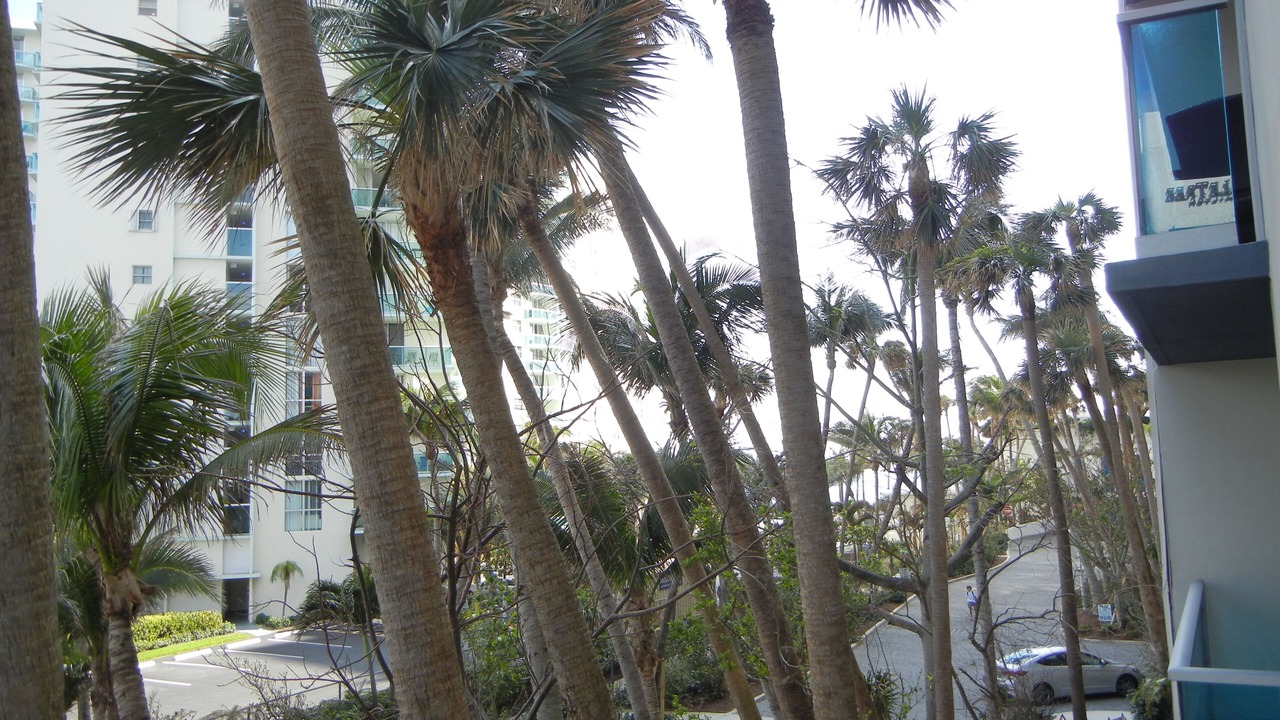 Photo of Others in Hollywood South Central Beach
