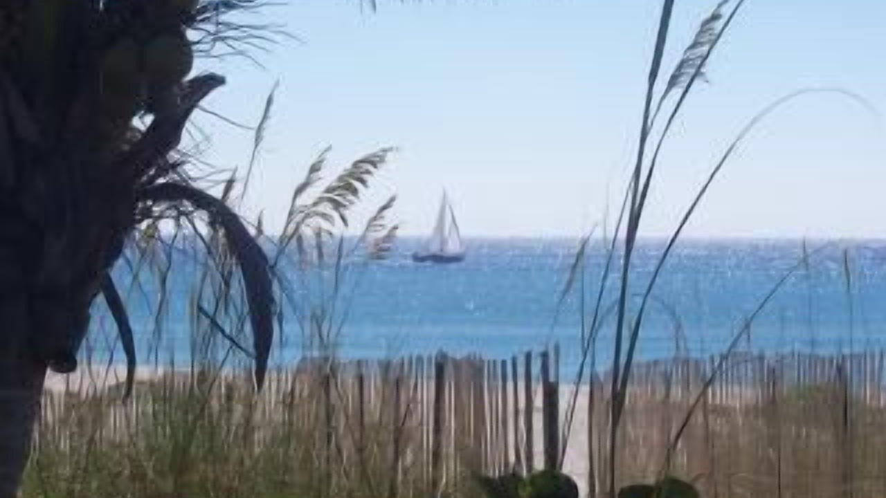 Photo of Others in Delray Beach
