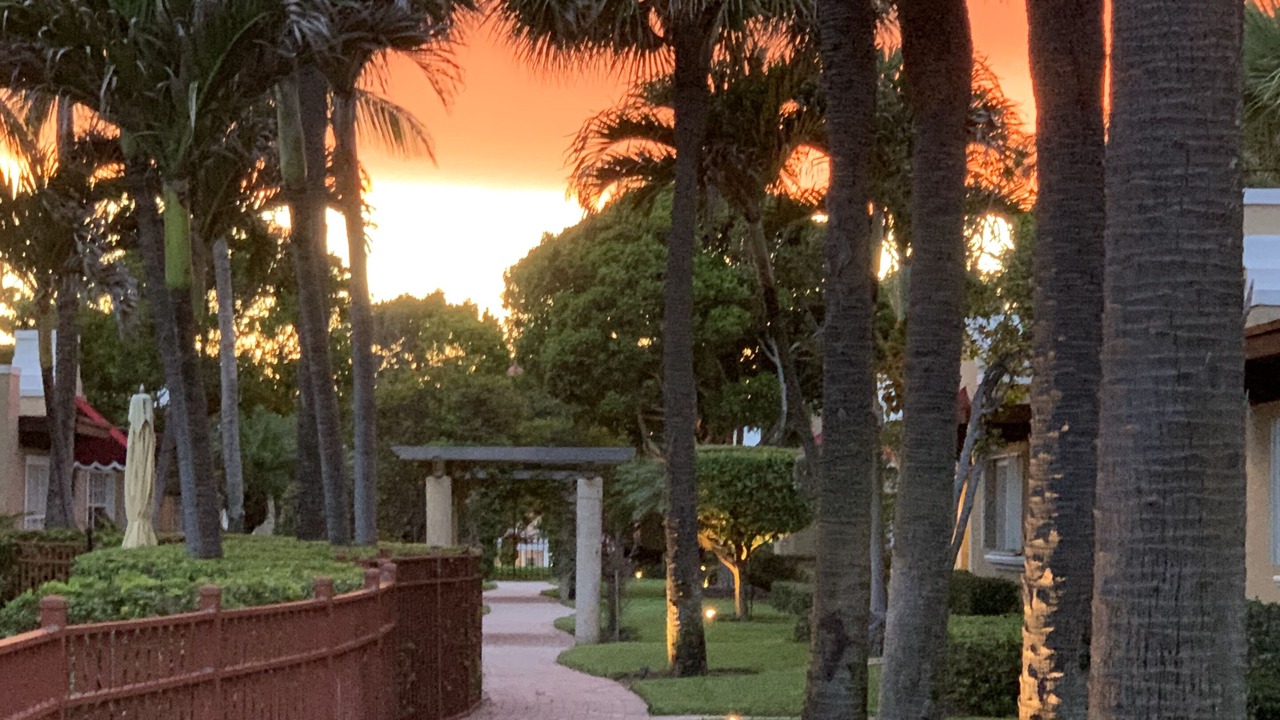 Photo of Others in Delray Beach