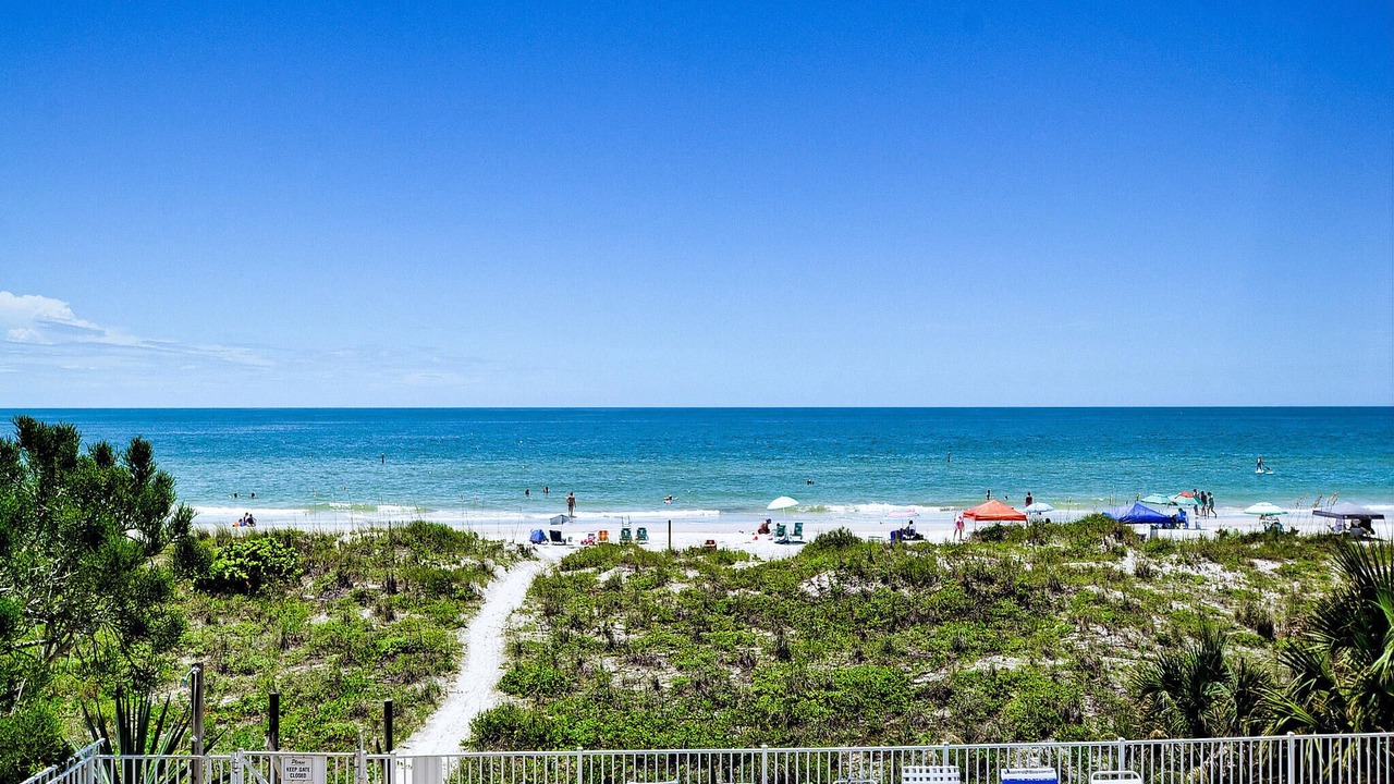 Photo of Others in Indian Rocks Beach