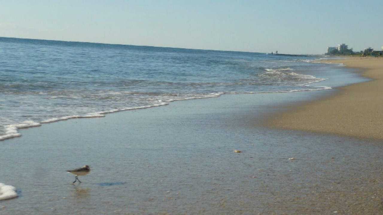 Photo of Others in Highland Beach