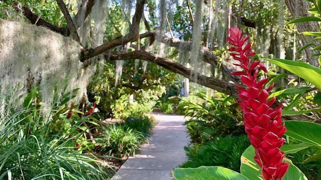 Photo of Outdoor in Key West