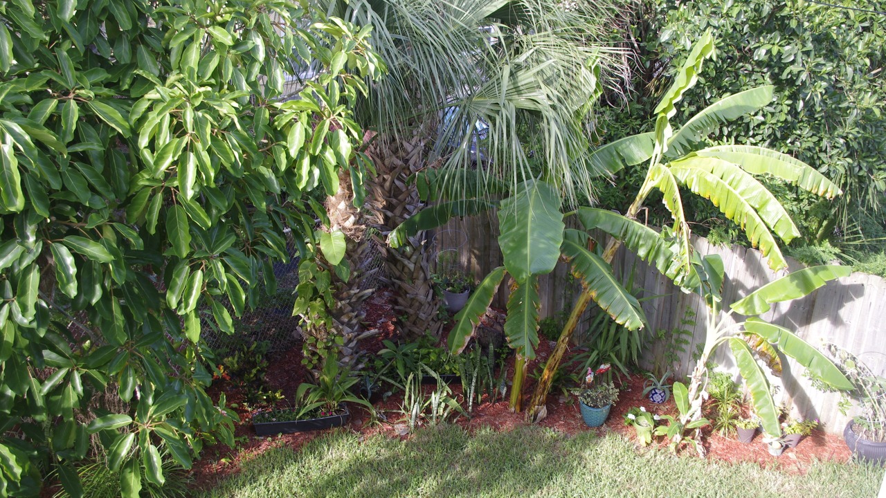 Photo of Outdoor in Cocoa Beach