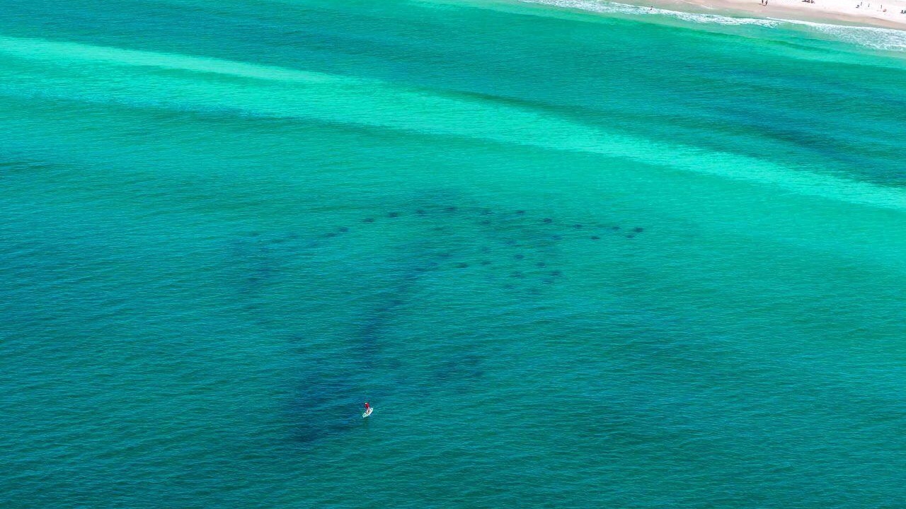 Photo of Others in Destin