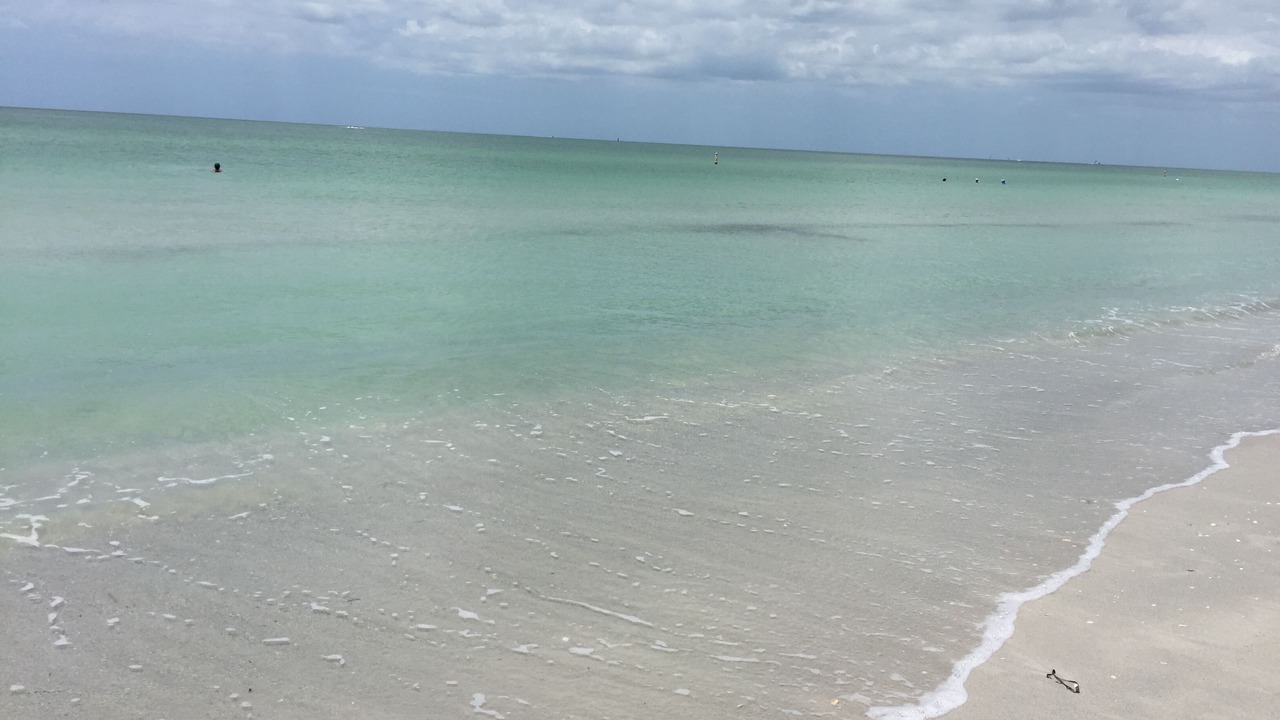 Photo of Others in Sand Key