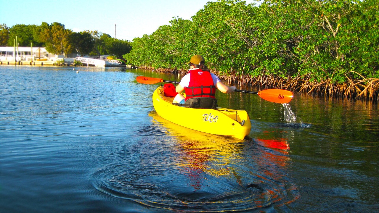 Photo of Others in Little Torch Key