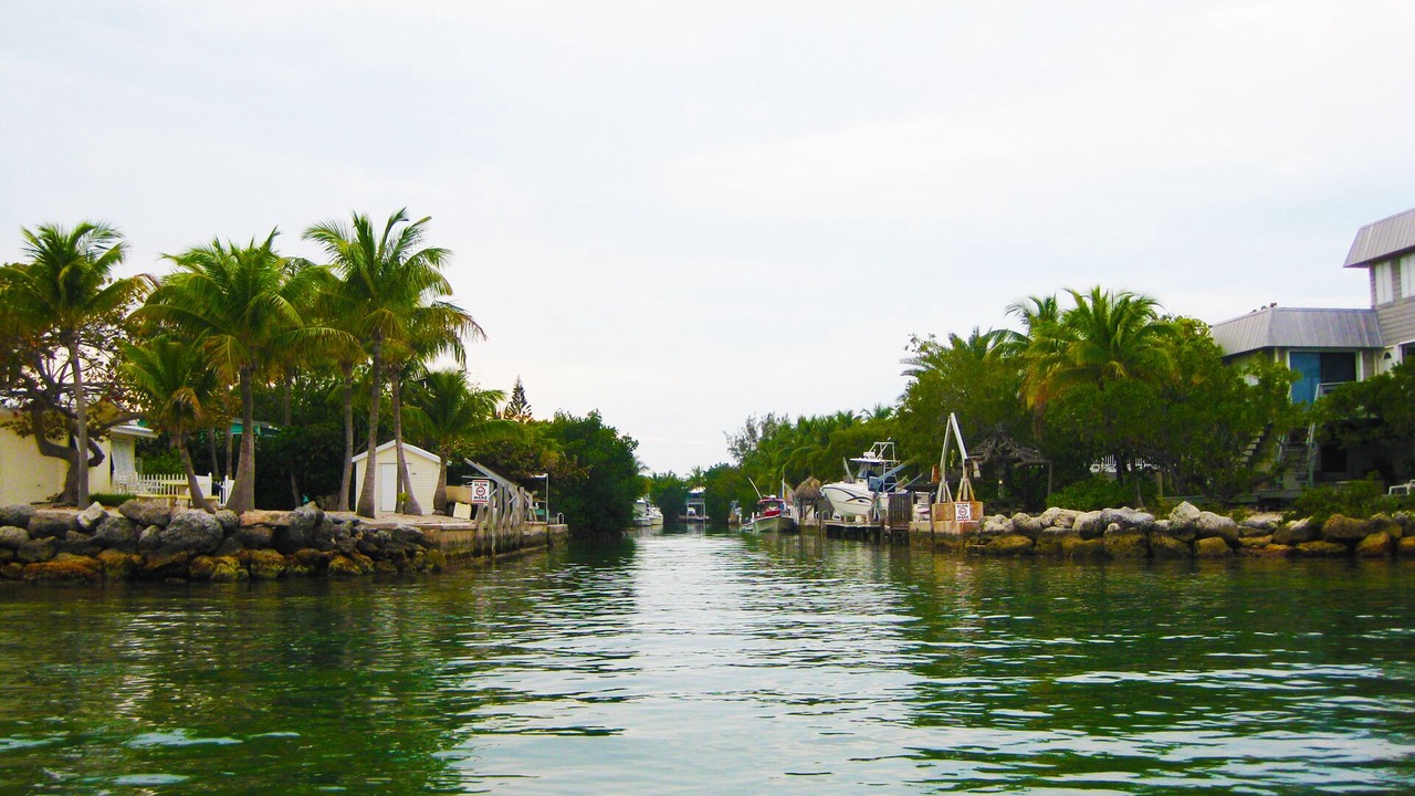 Photo of Others in Little Torch Key
