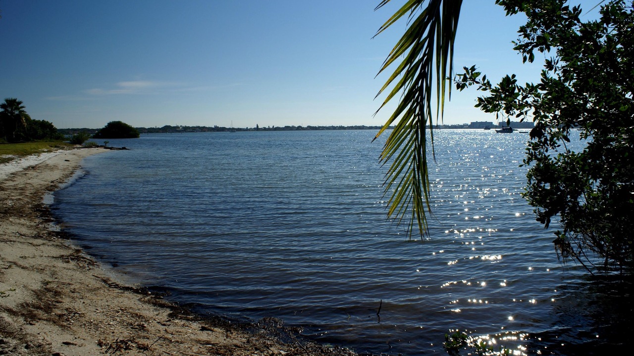 Photo of Others in Gulfport