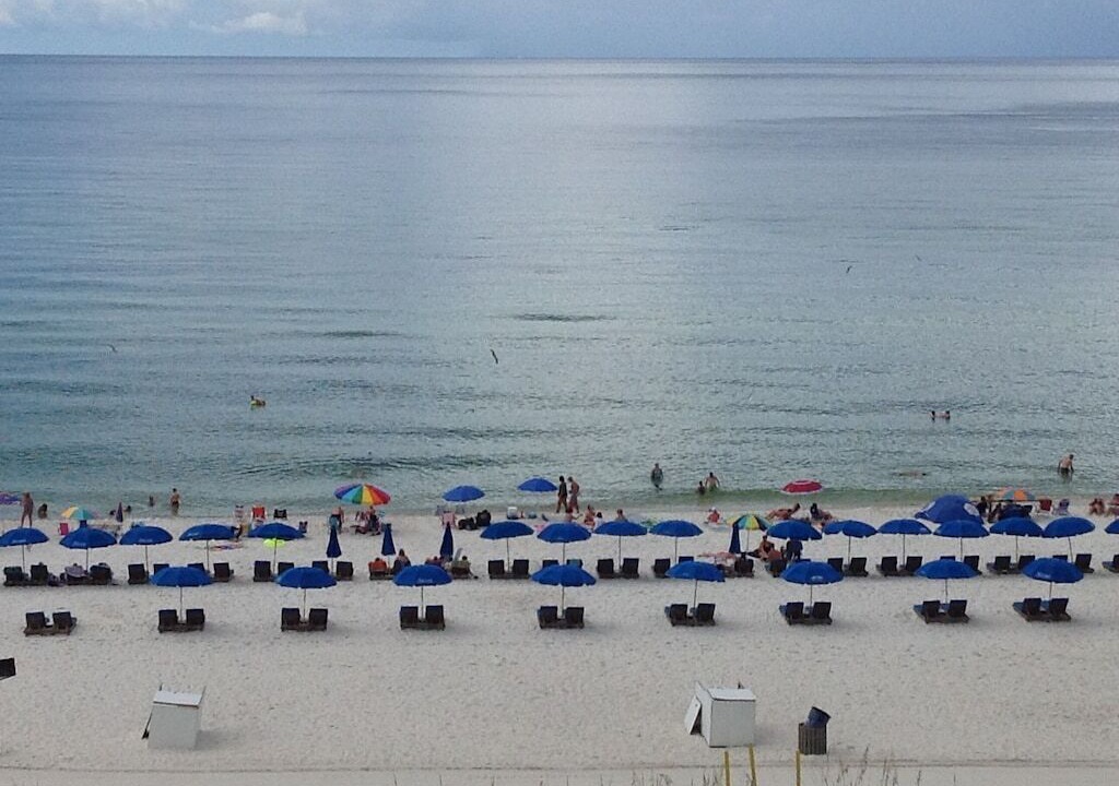 Photo of Others in Gulf Lagoon Beach