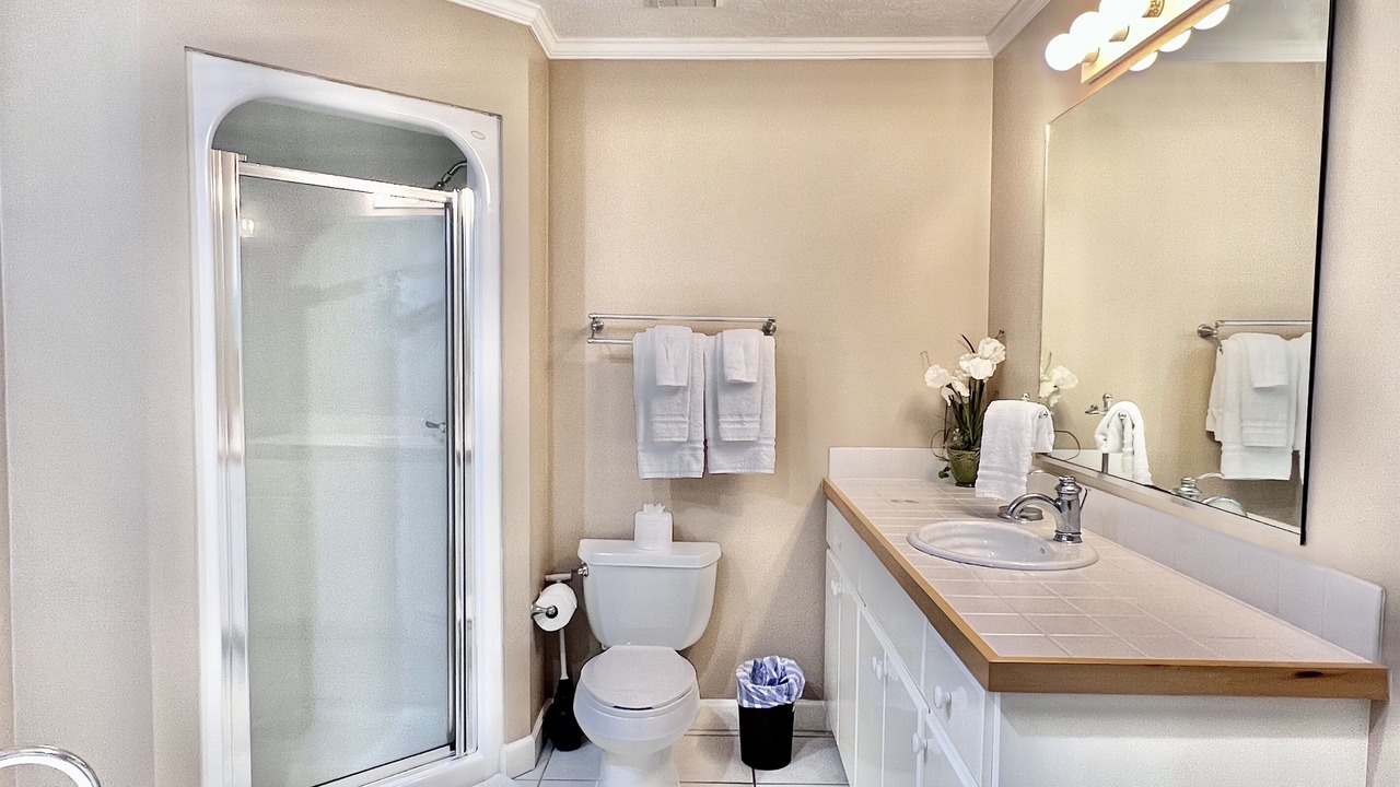 Photo of Bathroom in Gulf Lagoon Beach
