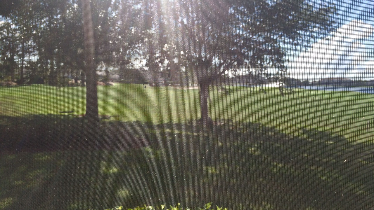 Photo of Outdoor in Heritage Palms