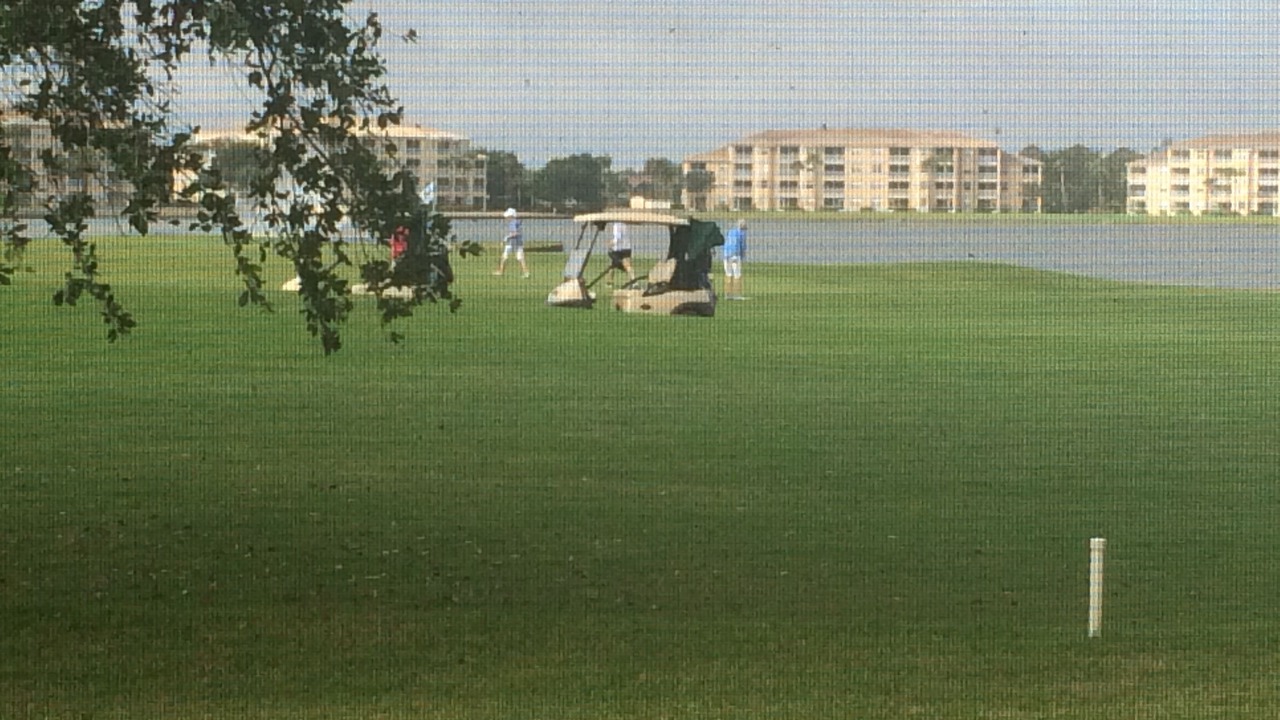 Photo of Others in Heritage Palms
