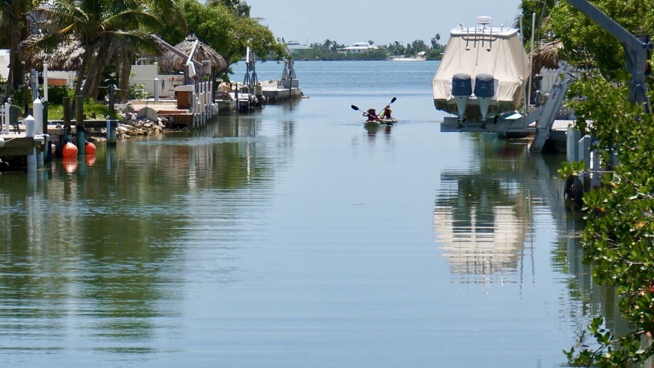 Photo of Outdoor in Little Torch Key