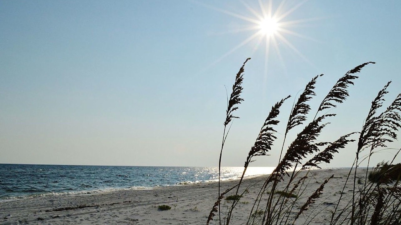 Photo of Others in Mexico Beach