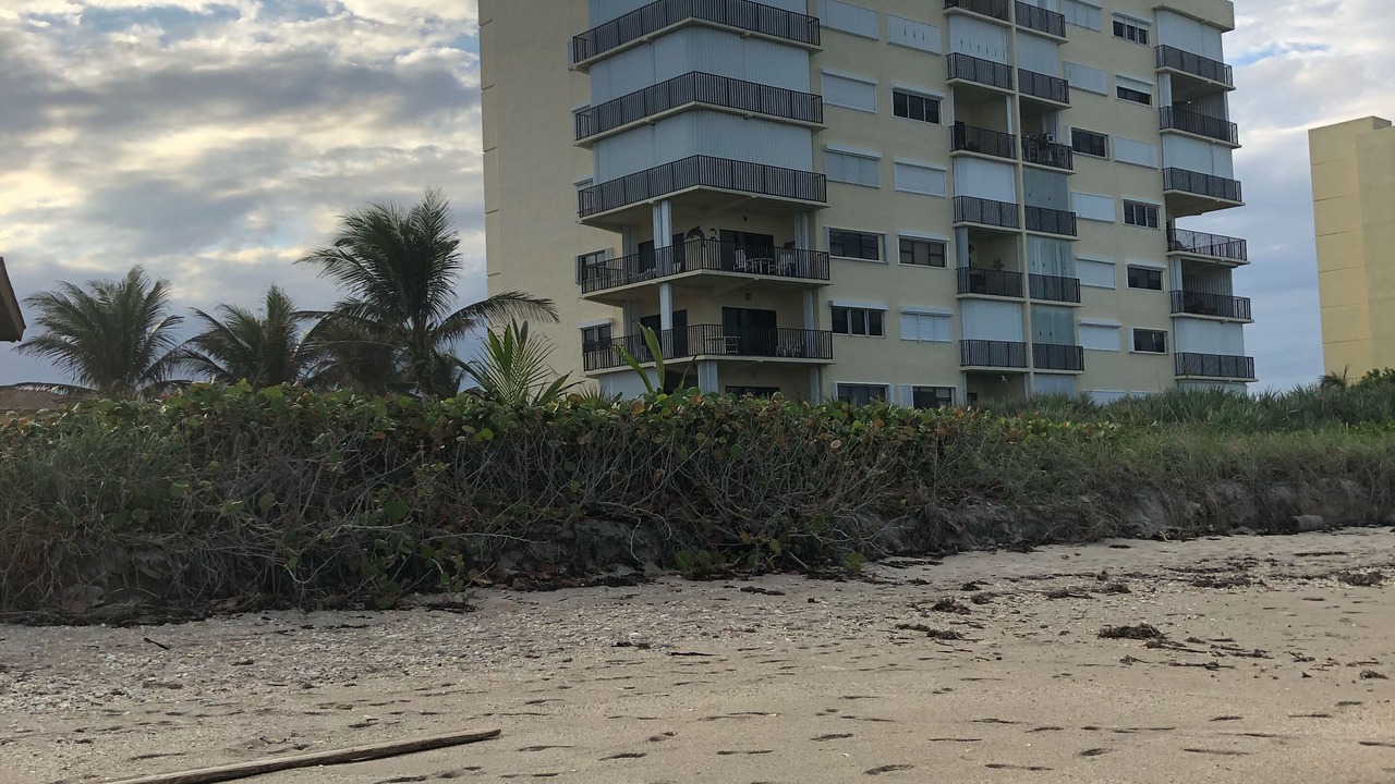 Photo of Outdoor in Hutchinson Island South