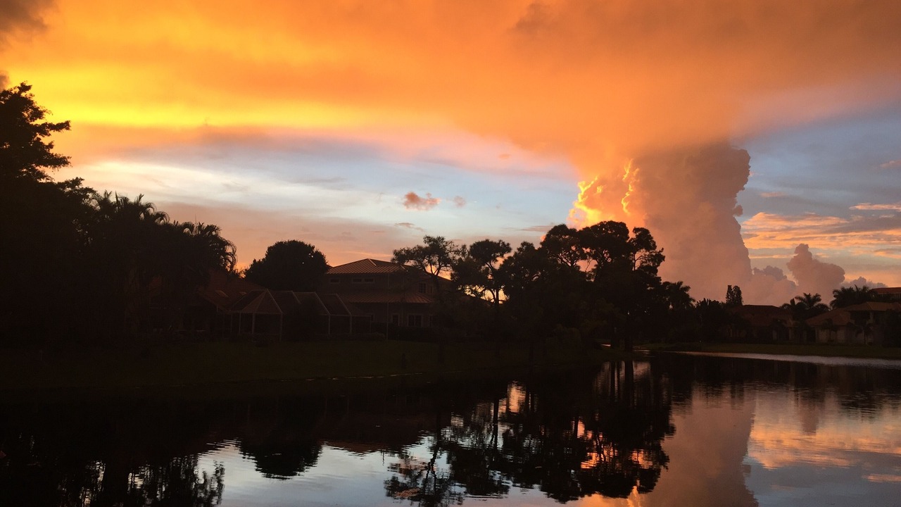 Photo of Outdoor in Park Shore