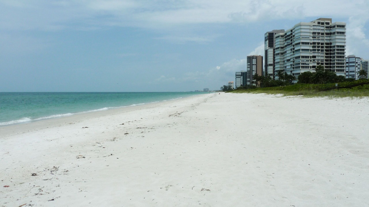 Photo of Others in Park Shore