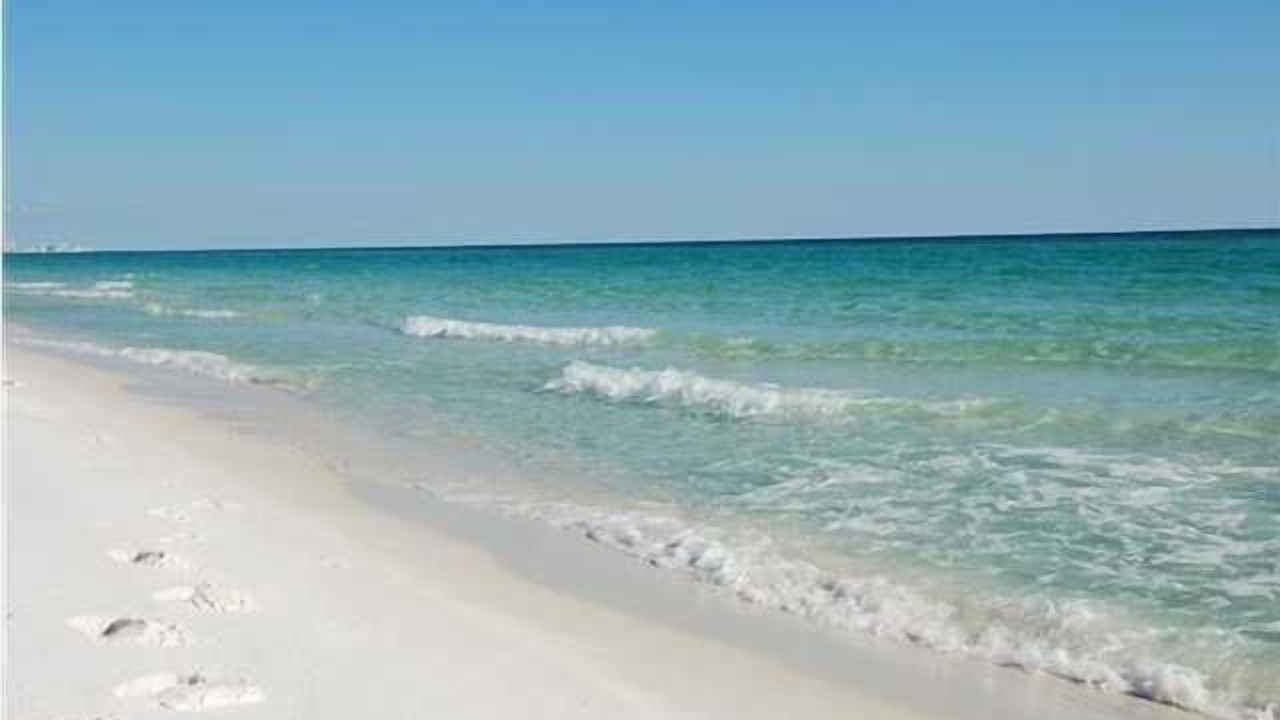 Photo of Others in Miramar Beach