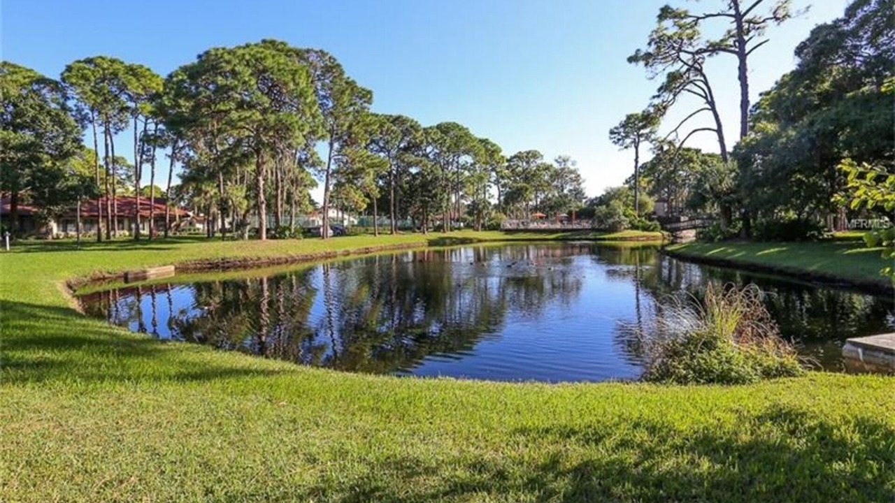 Photo of Outdoor in Sarasota