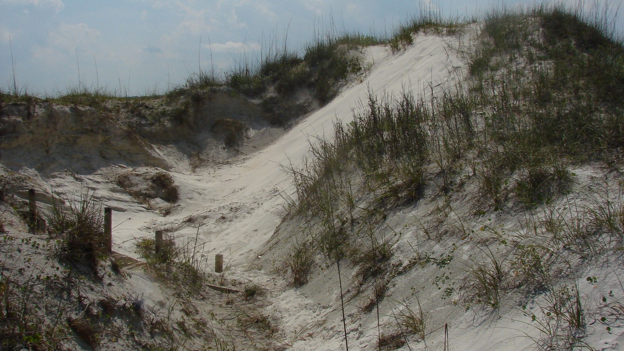 Photo of Others in New Smyrna Beach