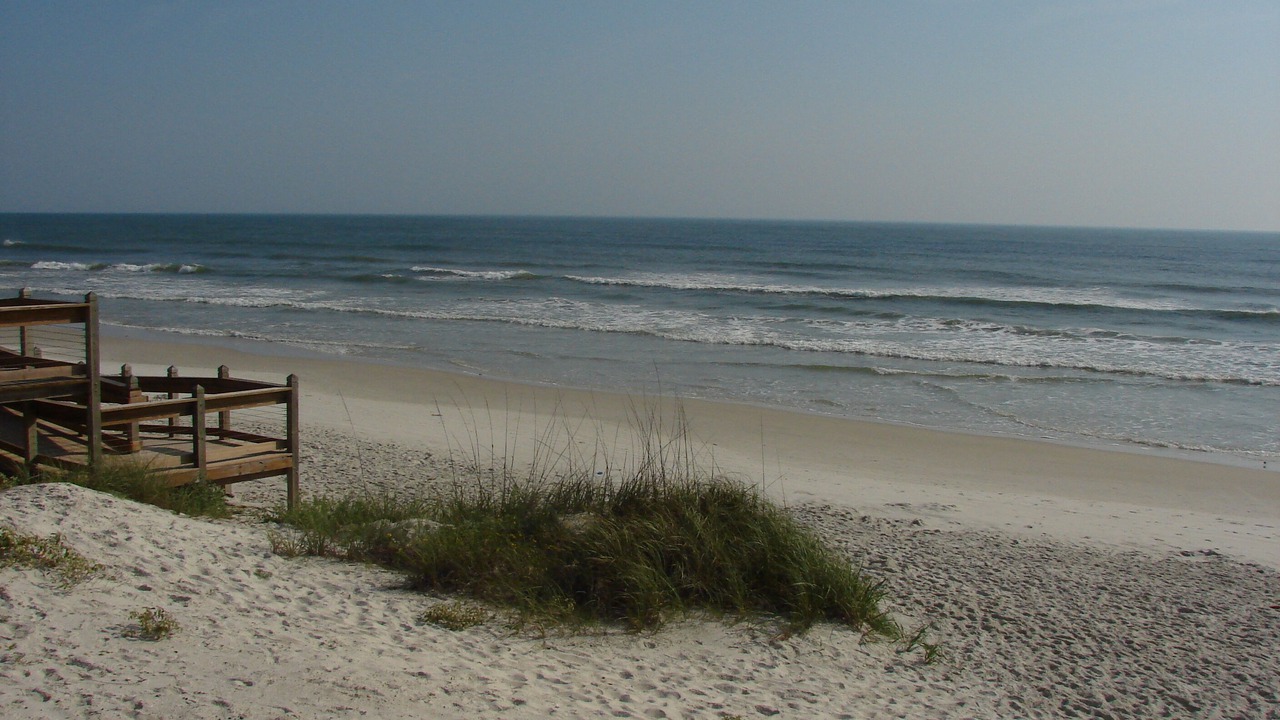 Photo of Others in New Smyrna Beach