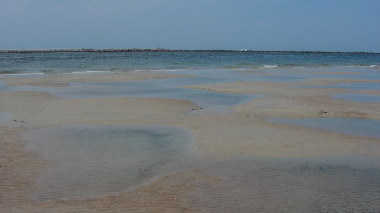Photo of Others in New Smyrna Beach