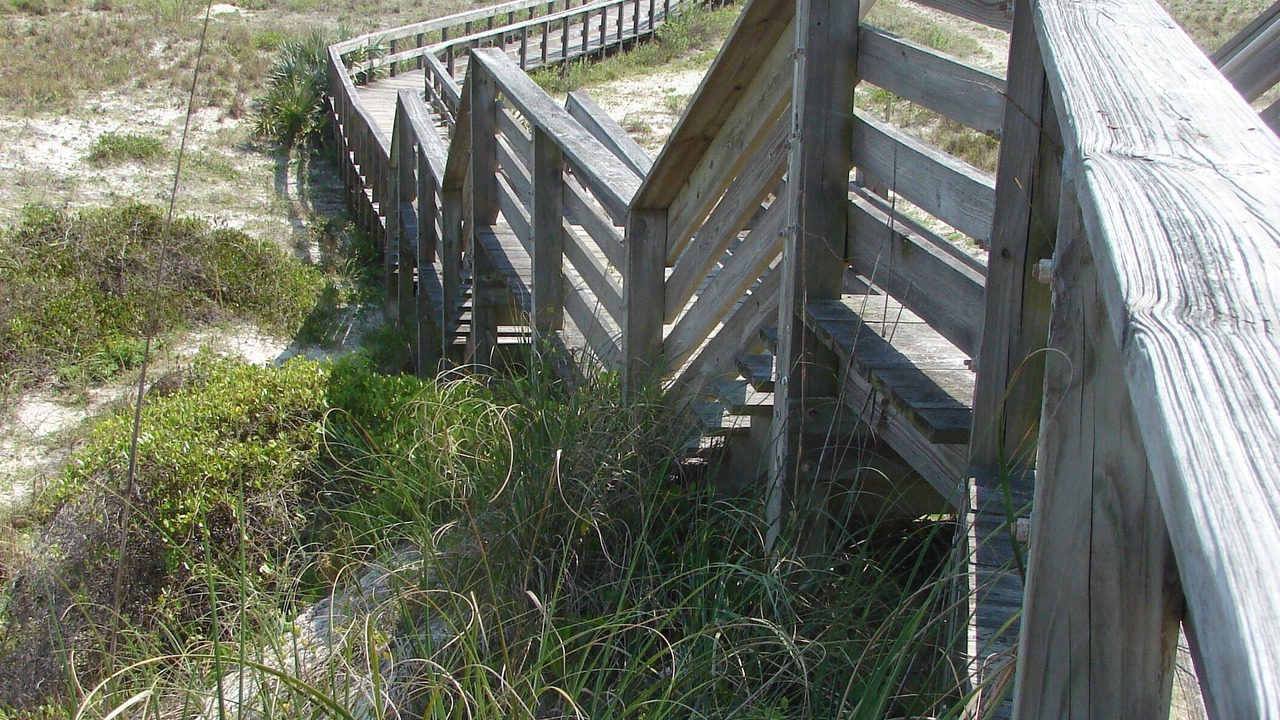 Photo of Others in New Smyrna Beach