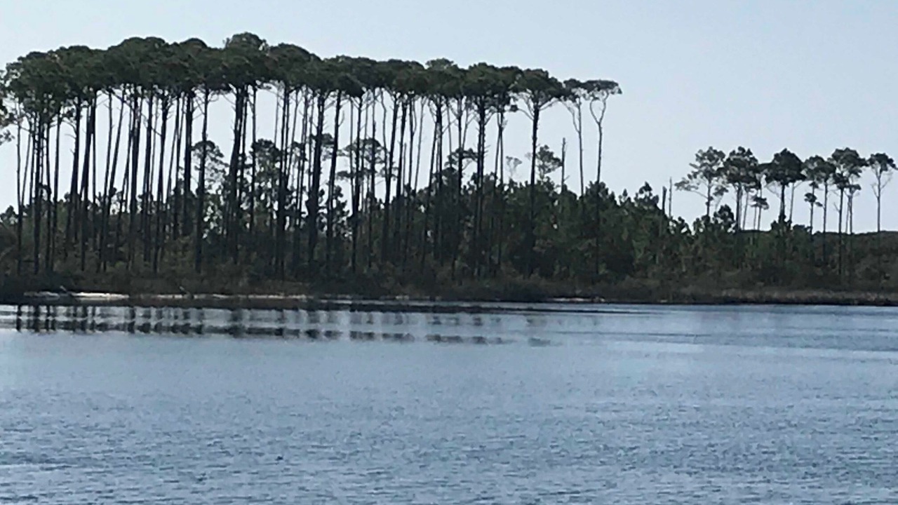 Photo of Others in Seacrest