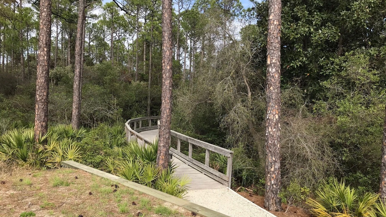 Photo of Outdoor in Seacrest