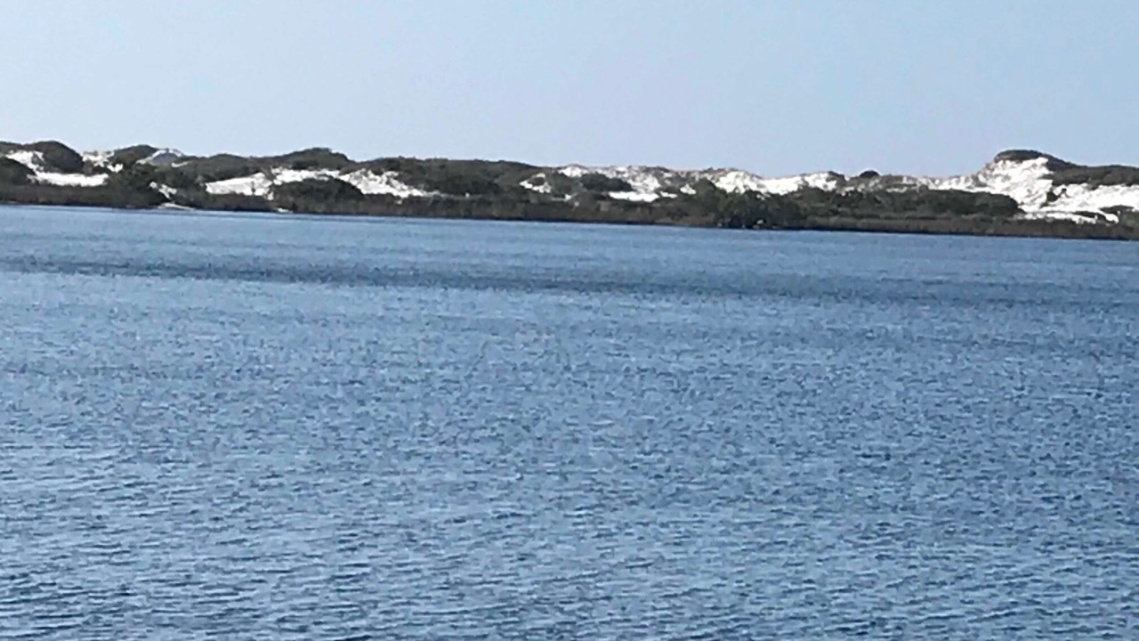 Photo of Others in Seacrest