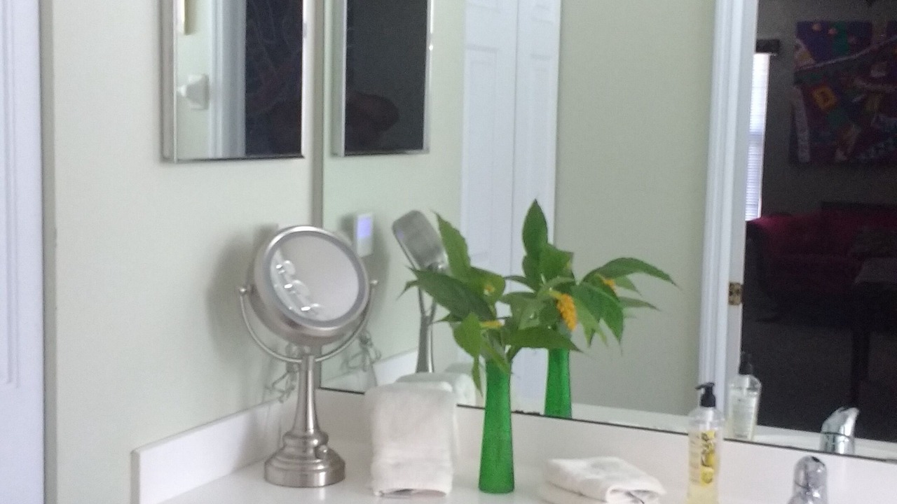 Photo of Bathroom in DeLand