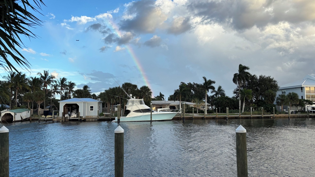 Photo of Others in Palmetto