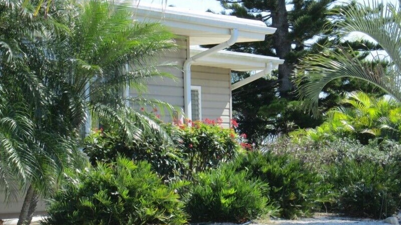 Photo of Others in Palmetto