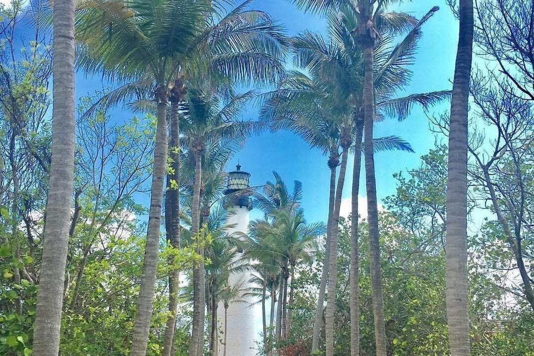 Photo of Outdoor in Key Biscayne
