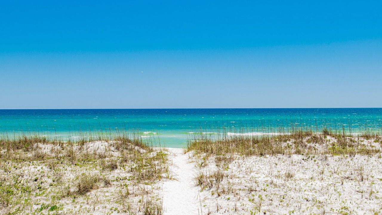 Photo of Others in Pensacola Beach
