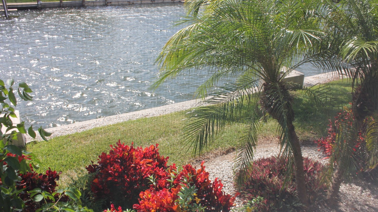 Photo of Others in Marco Island