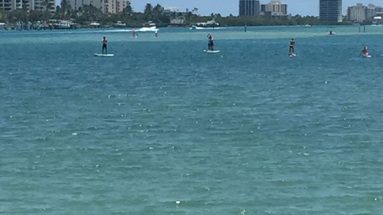 Photo of Others in Jupiter