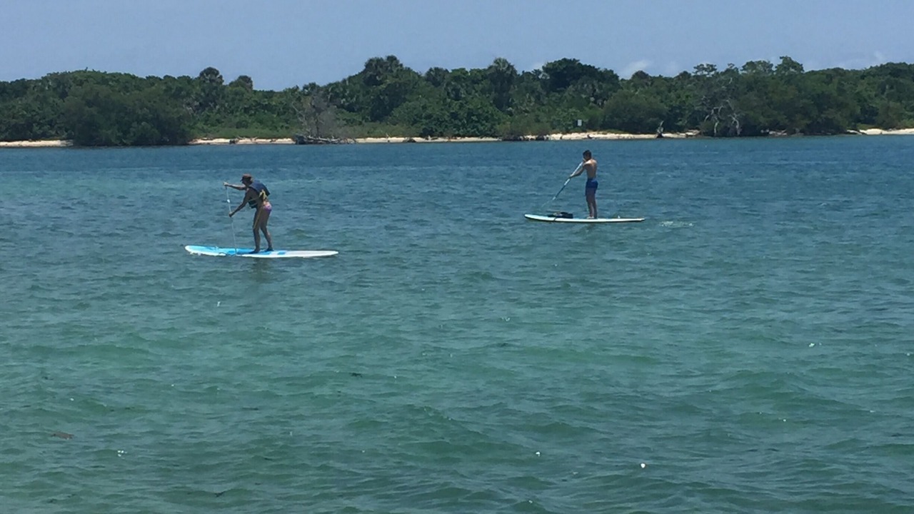 Photo of Others in Jupiter