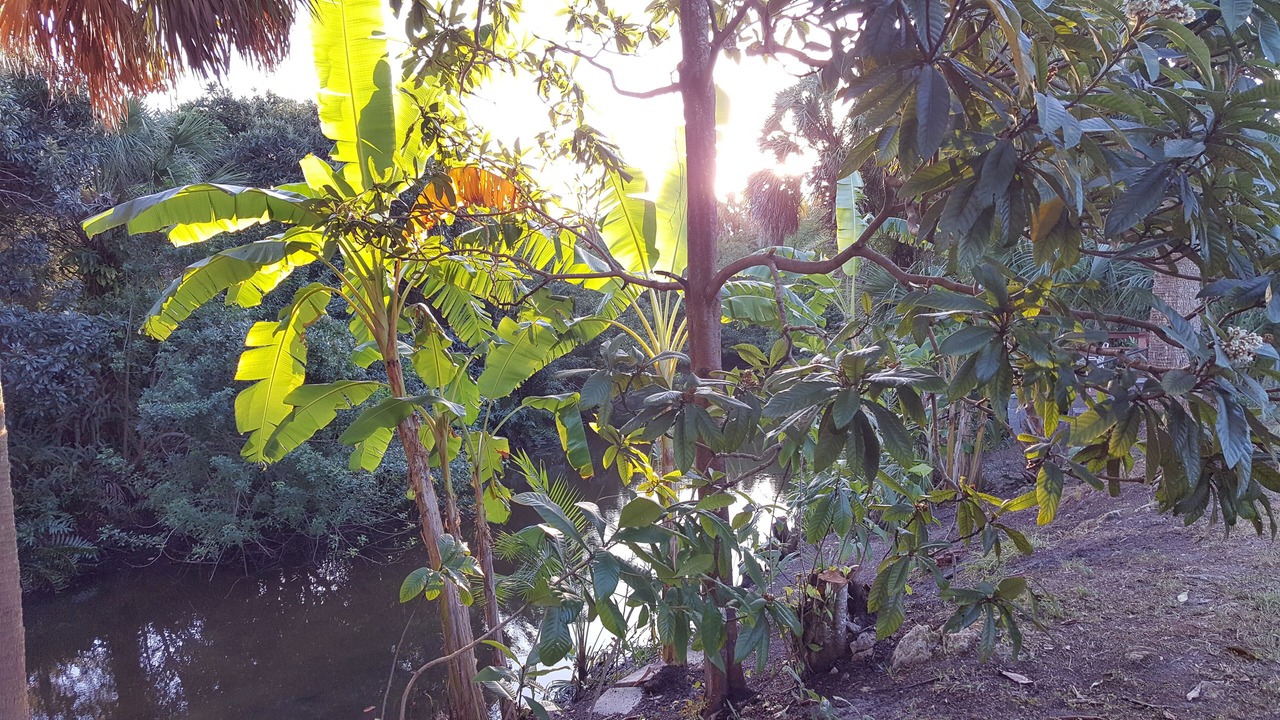 Photo of Outdoor in Warm Mineral Springs
