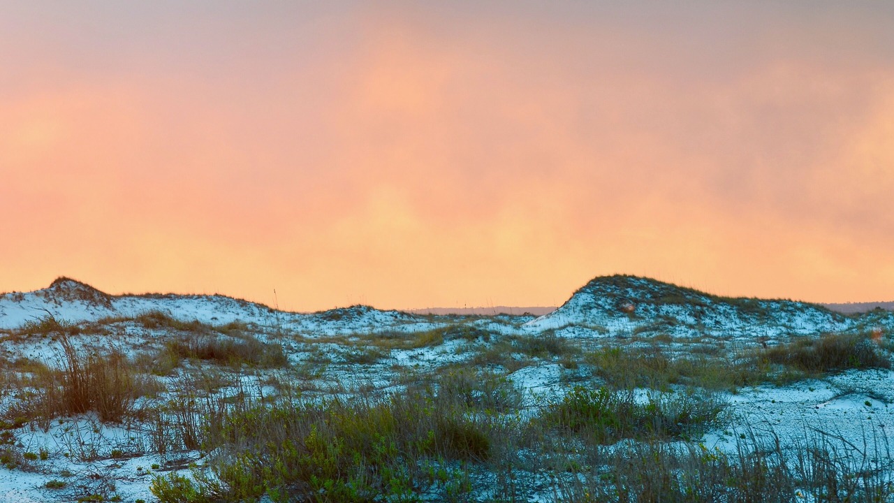 Photo of Outdoor in Navarre Beach