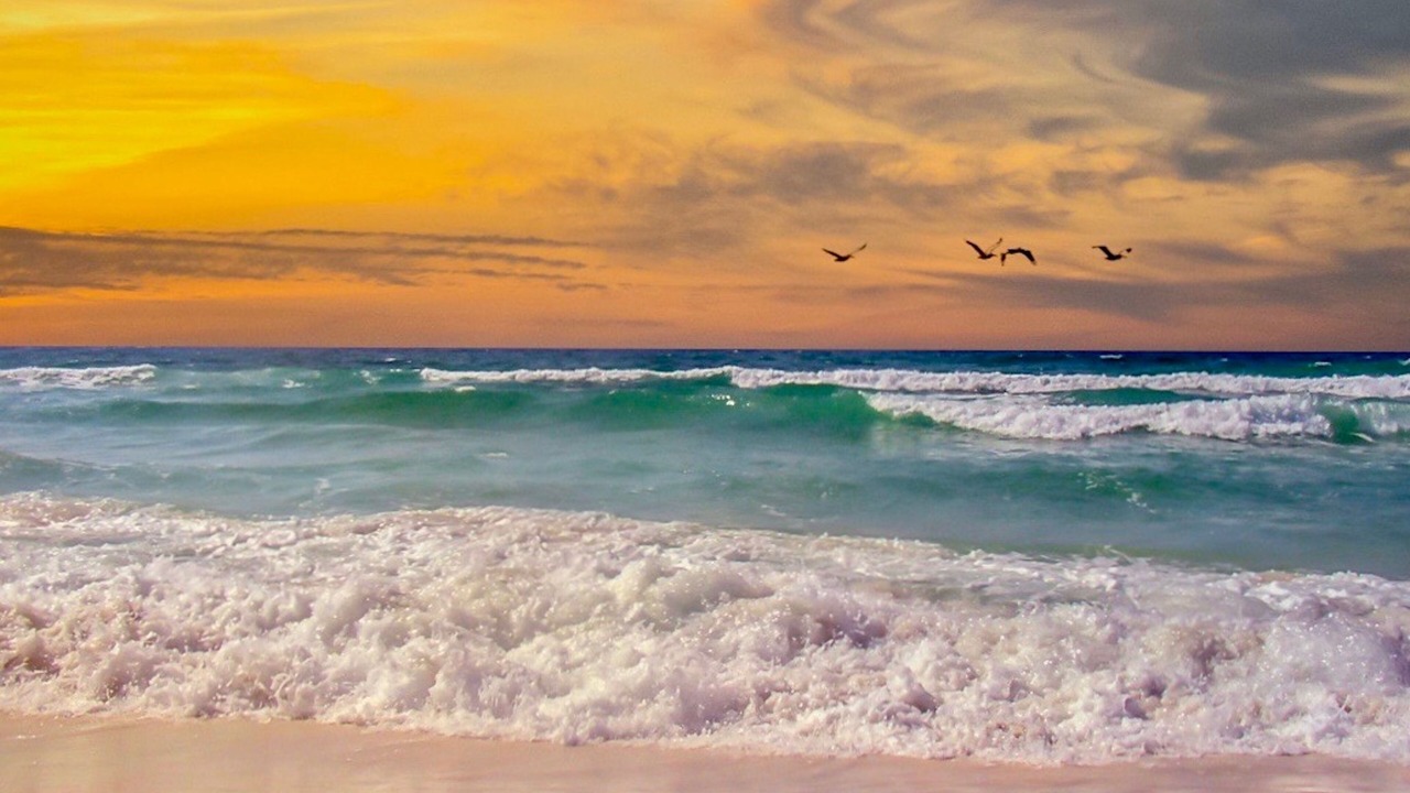Photo of Others in Navarre Beach