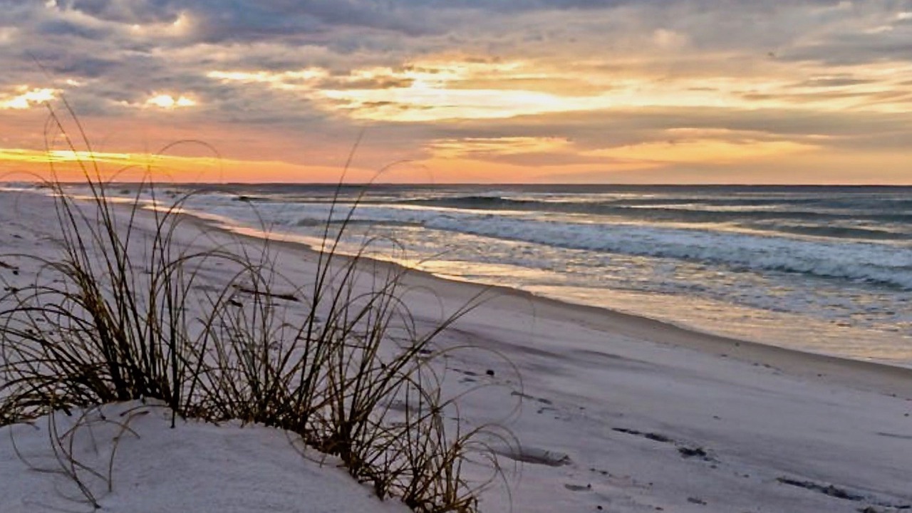 Photo of Others in Navarre Beach